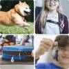 airtag-keyring-3 AirTag Silicone Shell Case for Pets Car keys Bags Black
