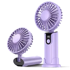 fans-mini-1